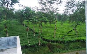 Villa Rr Seroja Kamar Biasa
