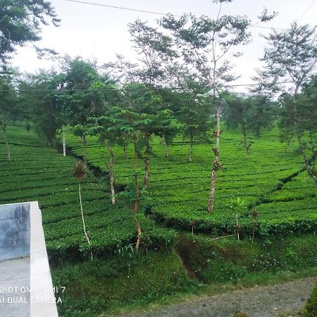 Villa Rr Seroja Kamar Biasa Garung Bagian luar foto